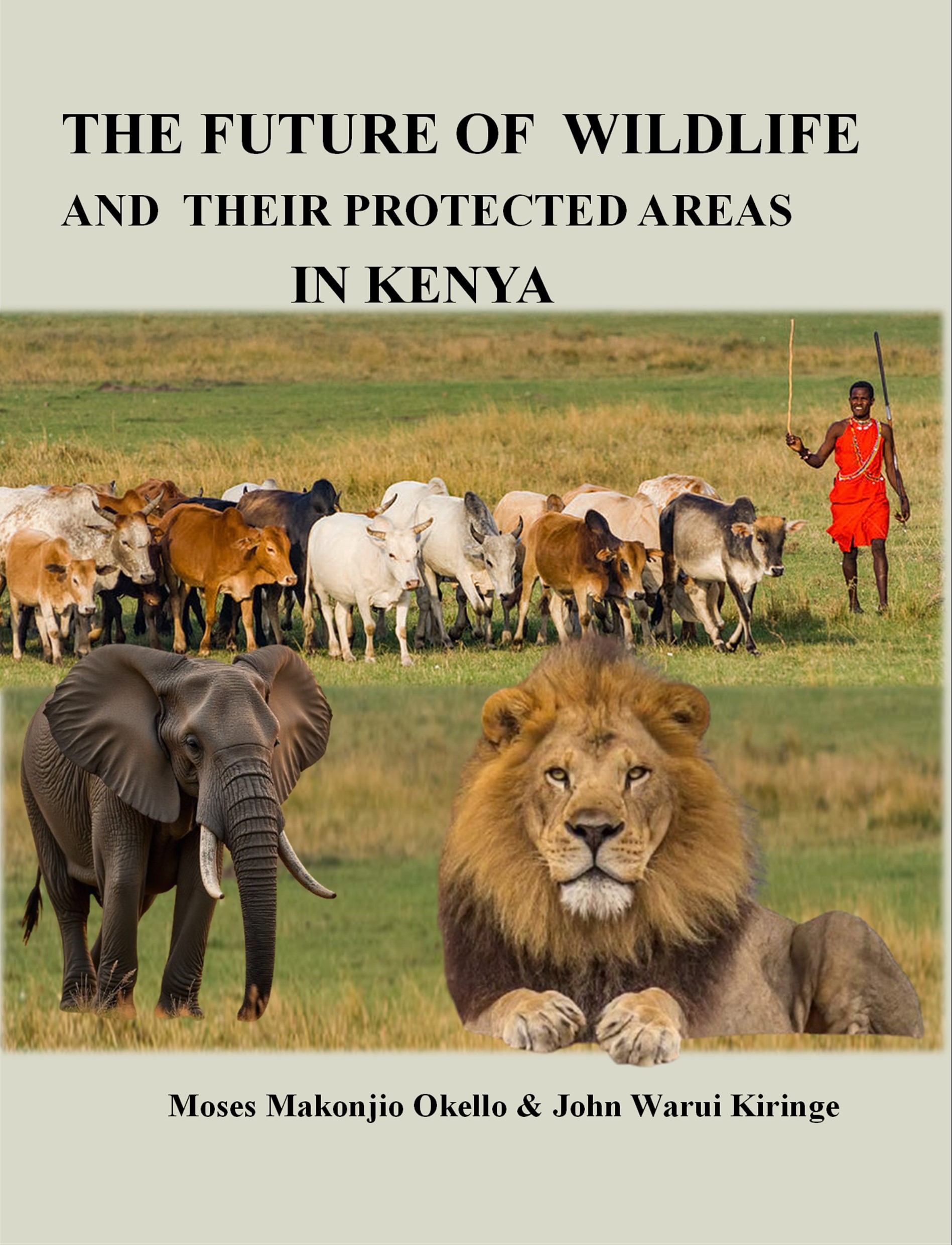 The Future Of Wildlife And Their Protected Areas in Kenya